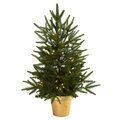 2.5' Christmas Tree w/Golden Planter and Clear Lights