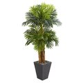 5.5' Triple Areca Palm Artificial Tree in Slate Finish Planter