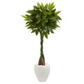 5' Money Artificial Tree in White Oval Planter (Real Touch