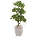43" Bonsai Styled Podocarpus Artificial Tree in Sandstone Planter