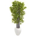 5' Bamboo Artificial Tree with Black Trunks in White Planter UV Resistant (Indoor/Outdoo