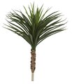 3 Foot Polyblend Outdoor Yucca Plant