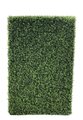48 inches L X 16 inches W X 72 inches H FIRESAFE BOXWOOD HEDGE / BOXWOOD SCREEN ON WIRED FRAME