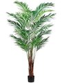 7' Areca Palm Tree with 739 Leaves in Pot (knock-down packing) Green