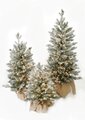 Flocked Spruce Table Trees w/Pinecones and LED Rice Lights | 2', 3' or 4' Sizes