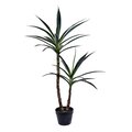 44" Green Potted Yucca Tree x 2