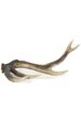 22 inches x 18 inches x 8 inches Resin Whitetail Deer Horn - Natural Brown