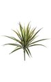 24 inches Plastic Yucca Bush - 44 Green/Red Edge Leaves