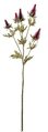 32 inches Plastic Eryngium Needle Spray - 16 Green Leaves - 5 Burgundy Flowers