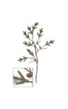 39 inches Plastic Pine Twig with Pine cones - Green