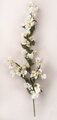 Earthflora's Bougainvillea Pick-white (Sold By The Dozen)