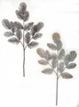 Earthflora's 26 Inch Glittered Mixed Fern Spray In Black Or Silver
