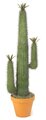 4 feet Plastic Saguaro Cactus - Green - Bare Stem