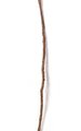 9 feet Plastic Stick Vine - Brown