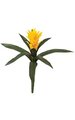 14 inches Outdoor Tropical Bromeliad - 9 Green Leaves - Gold Yellow Flower - Bare Stem