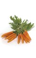 Foam Mini Carrot with Leaves - 3 inches Carrot - Orange - 6 Pieces per Bag