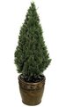 4 feet Outdoor Plastic Cedar Tree - 1,184 Green Leaves - 14 inches Width - Weighted Base