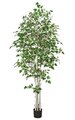 7 feet White Birch Tree - Synthetic Trunks - 1,618 Green Leaves - 36 inches Width - Weighted Base