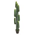 72 inches Green Aloe Plant in Gray/Lt Red Pot