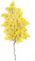 7 Foot Cotton Wood Branch FIRE RETARDANT Natural Wood - Yellow or Green   ******PICK YOUR COLOR GREEN OR YELLOW*****