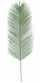 49 inches Outdoor Phoenix Palm Branch - 16 inches Width - Light Green Polyblend UV