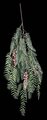 60 inches Long Pepperberry Tree Branch (Sold Per PC)