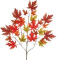 EF-495 29 inches Autumn Maple Branch 25 Leaves (Sold Per Dozen) Autumn Color
