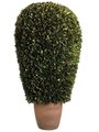 EF-436 14"Dx30"H Preserved Boxwood Ball Topiary in Pot Green