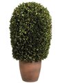 EF-434 11"Dx24"H Preserved Boxwood Ball Topiary in Pot Green