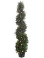 EF-164 	4 feet Spiral Cedar Topiary x692 w/70 Clear Lights in Plastic Pot Green (Price is for a 2 pc Set) Indoor or Outdoor use