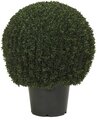 EF-3337    30 inches Tall 22 inches Wide  Mini Tea Leaf  Boxwood Topiary has 2919 leaves and comes in a 12 inches plastic pot  Indoor/Outdoor