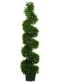 EF-555  	5 feet Italian Bayleaf Spiral Topiary in Black Plastic Pot Green (Price is for 2 Pc Set) Indoor/Outdoor