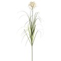 60" Dandelion Grass in Pot