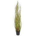 36" Green and Brown Grass in Pot