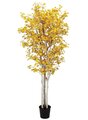 EF-4389  	7 feet Aspen Leaf Birch Tree  Yellow