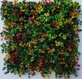 20 inches x  20 inches Outdoor UV Rated  Fall mixed  boxwood foliage mats