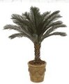 Custom Made  40 inches Polyblend Cycas Palm Safe for Outdoor  Use!