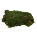 Preserved Flat Moss Green Moss Sheet - 1.1 lb/Bag