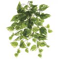19 inches UV Protected Pothos Bush  Green Cream ***PRICE IS FOR A 12 PCS SET***