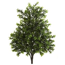 23 Inch Outdoor UV Boxwood Bush (Set of 2) (Indoor/Outdoor)