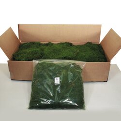 Green Moss Sheet - 6.6 lbs/Box
