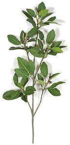 Earthflora's 24 Inch Mangrove Branch (Sold Per Piece) Fire Retardant  Or Regular