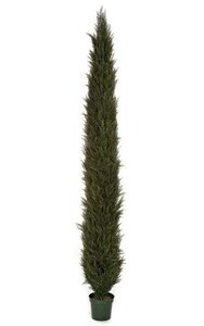 12 feet Plastic Outdoor Cypress Tree - 8,229 Leaves - Weighted Base