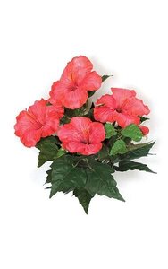 15 inches Hibiscus Bush - 4 Red/Pink Flowers - 2 Buds- FIRE RETARDANT
