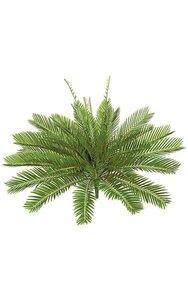21 inches Plastic Cycas Palm Bush - 28 Green Fronds - 31 inches Width