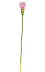 27 inches Ginger Flower Stem - Soft Touch - 3 inches Width