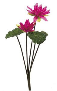 30 inches Lotus Bush - 2 Leaves - 2 Flowers - Fuchsia