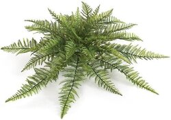30 inches  Outdoor Polyblend Ruffle Fern Cluster - 30 Green Leaves - 30 inches Width - Bare Stem
