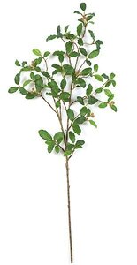 31 inches Live Oak Branch - 108 Green Leaves - FIRE RETARDANT