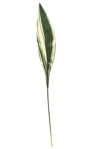 32 inches Dracaena Leaf - Real Touch - Green/White